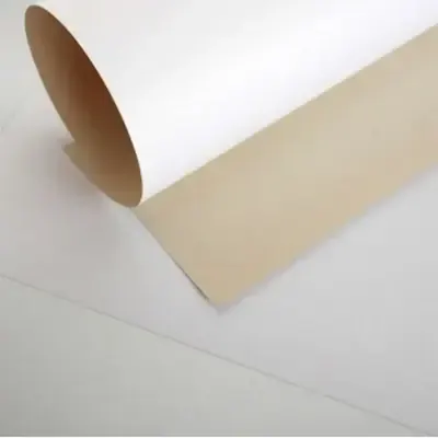 Carton Forrado